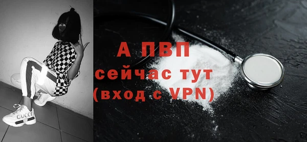гидра Володарск