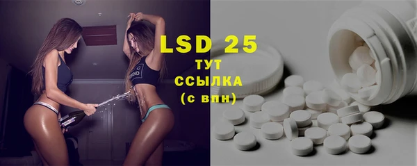 гидра Володарск