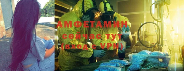 гидра Володарск