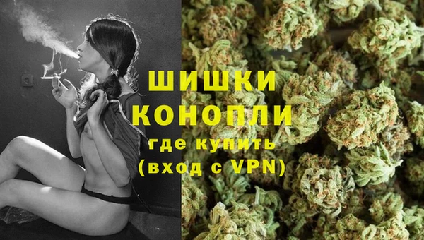 гидра Володарск