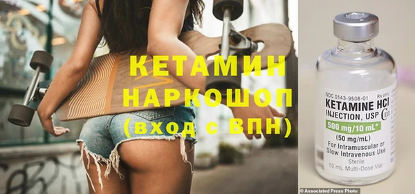 индика Бородино