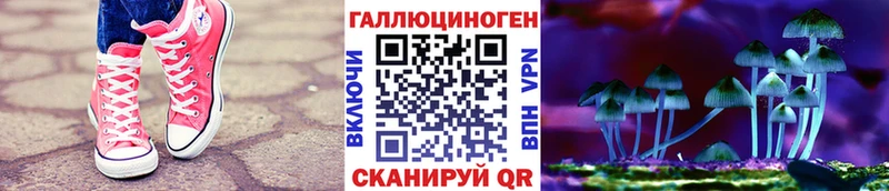 Галлюциногенные грибы прущие грибы  ОМГ ОМГ сайт  Зея  как найти закладки 
